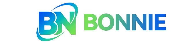 বনি কারুশিল্প কারখানা